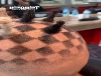 مدل مو به شکل صفحه شطرنج دیده بودید؟