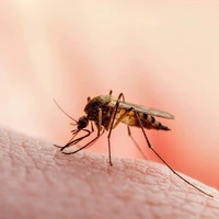 تشخیص دقیق مالاریا با تلفیق هوش مصنوعی و میکروسکوپ