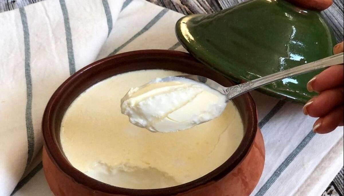 این ۸ مدل ماست طعمدار را مثل آب خوردن آماده کنید