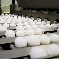 درخواست اتحادیه مرغداران برای افزایش ۱۰ هزار تومانی قیمت تخم مرغ از دولت