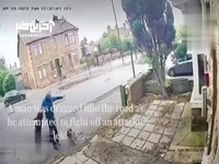 حمله هولناک دو سگ به یک مرد در خیابان