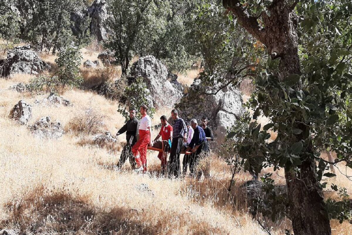 امدادگران کوهنورد حادثهدیده در ارتفاعات قوریقلعه را نجات دادند
