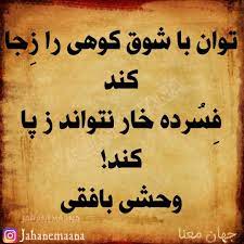 شاعرانه/ توان با شوق کوهی را ز جا کند 