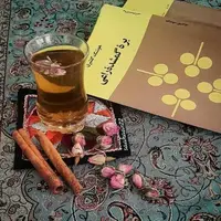 بخشی از کتاب/ گاهی آدم رمانی نیمه تمام دارد