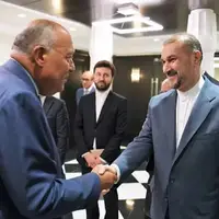 توضیح کنعانی درباره دیدار وزیران خارجه مصر و ایران: بسیار خوب و مثبت بود