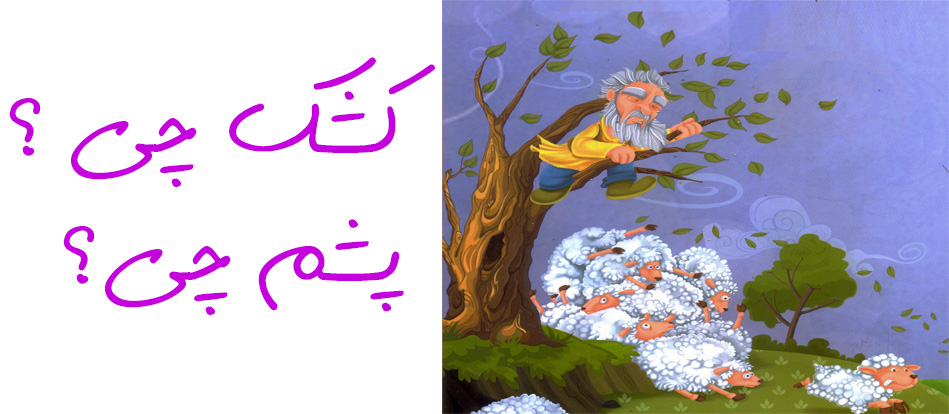 کشک چی؟ پشم چی؟