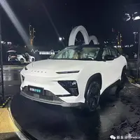 «چری شوژیانگجیا» با قیمت ۸۷۷ میلیون تومان به بازار چین رفت