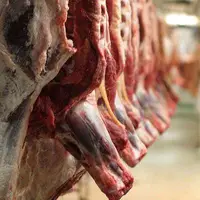 کاهش ۲۶ درصدی عرضه گوشت قرمز در مرداد