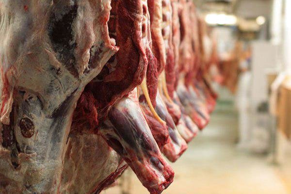 کاهش 26 درصدی عرضه گوشت قرمز در مرداد