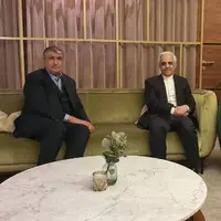 رییس سازمان انرژی اتمی ایران وارد وین شد