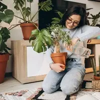 مراقبت از گیاهان آپارتمانی در فصل پاییز