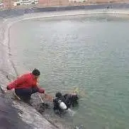 غرق‌شدن نوجوان سیرجانی در استخر آب کشاورزی
