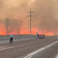 آتش‌سوزی در باغ بزرگ شریعت اردبیل