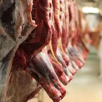 جزئیات عرضه گوشت تنظیم بازار به قیمت سال گذشته