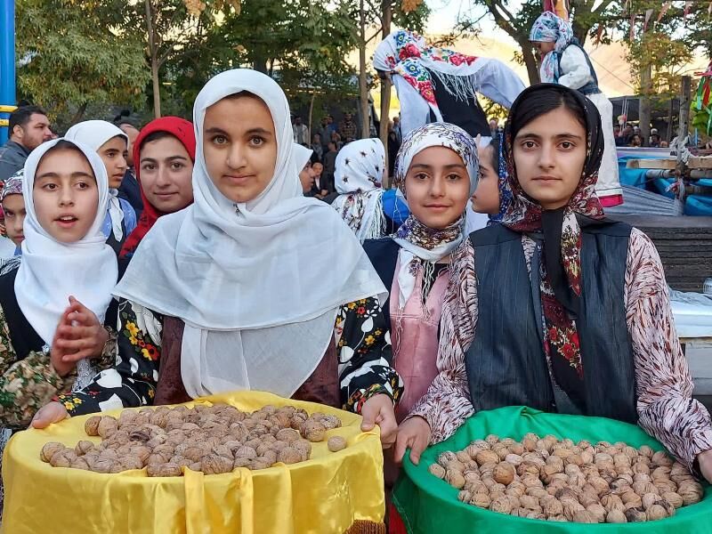 جنگلهای سهرورد میزبان جشنواره گردو شد