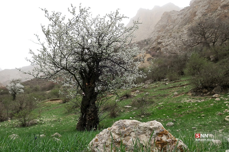 آثار دیدنی روستای شاهاندشت