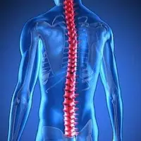 ژن درمانی جدید به معلولان قدرت راه رفتن می دهد
