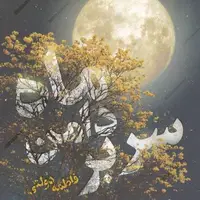 بانوی مقتدر و گمنامی که وصی امام زمانش شد