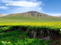 در مورد خودتان به وحدت برسید 