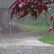 بارش باران در برخی مناطق آذربایجان شرقی