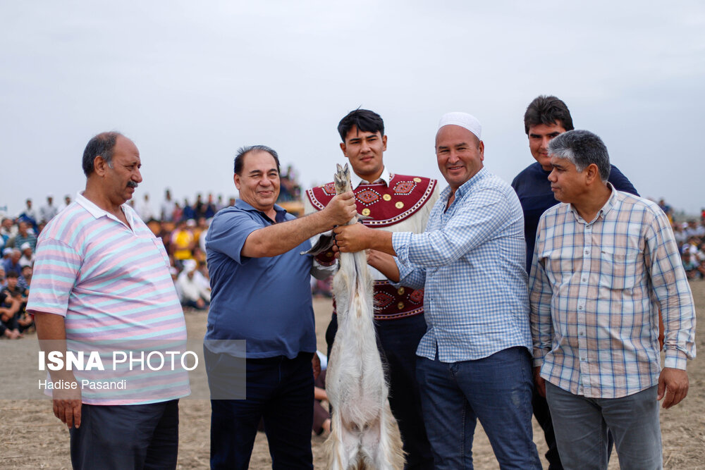 گورش کشتی سنتی ترکمن صحرا