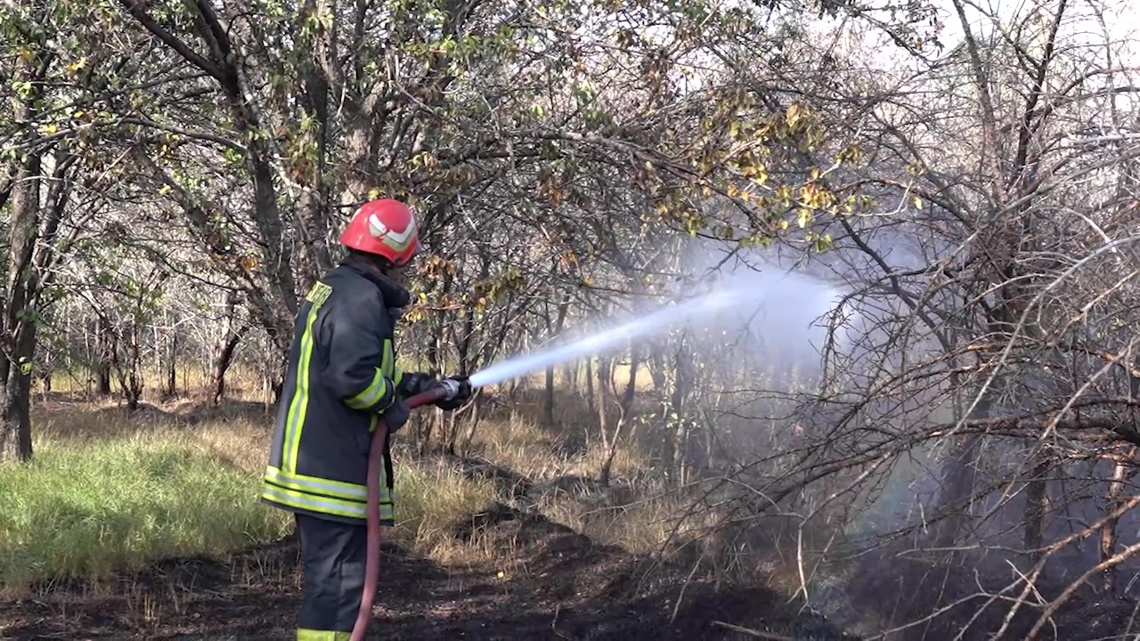 ورود دستگاه قضایی به حادثه آتش‌سوزی باغ شریعت اردبیل 