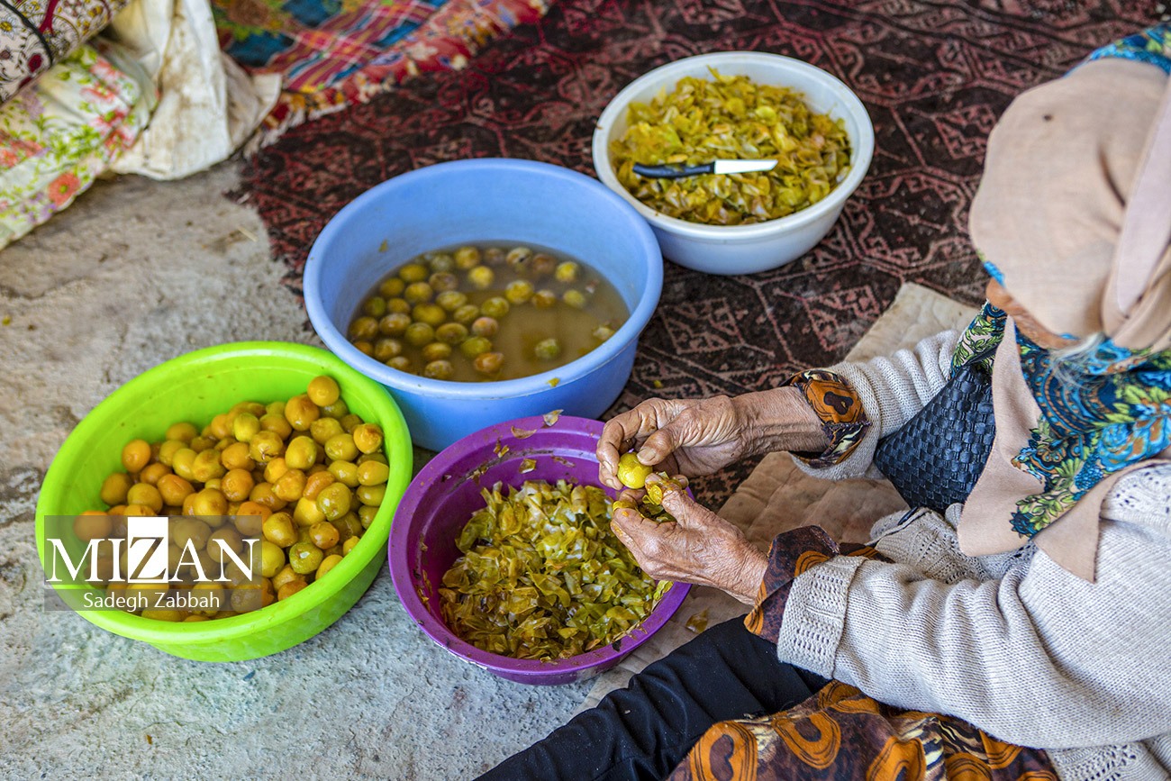 عکس/ خور پایتخت آلوی ایران
