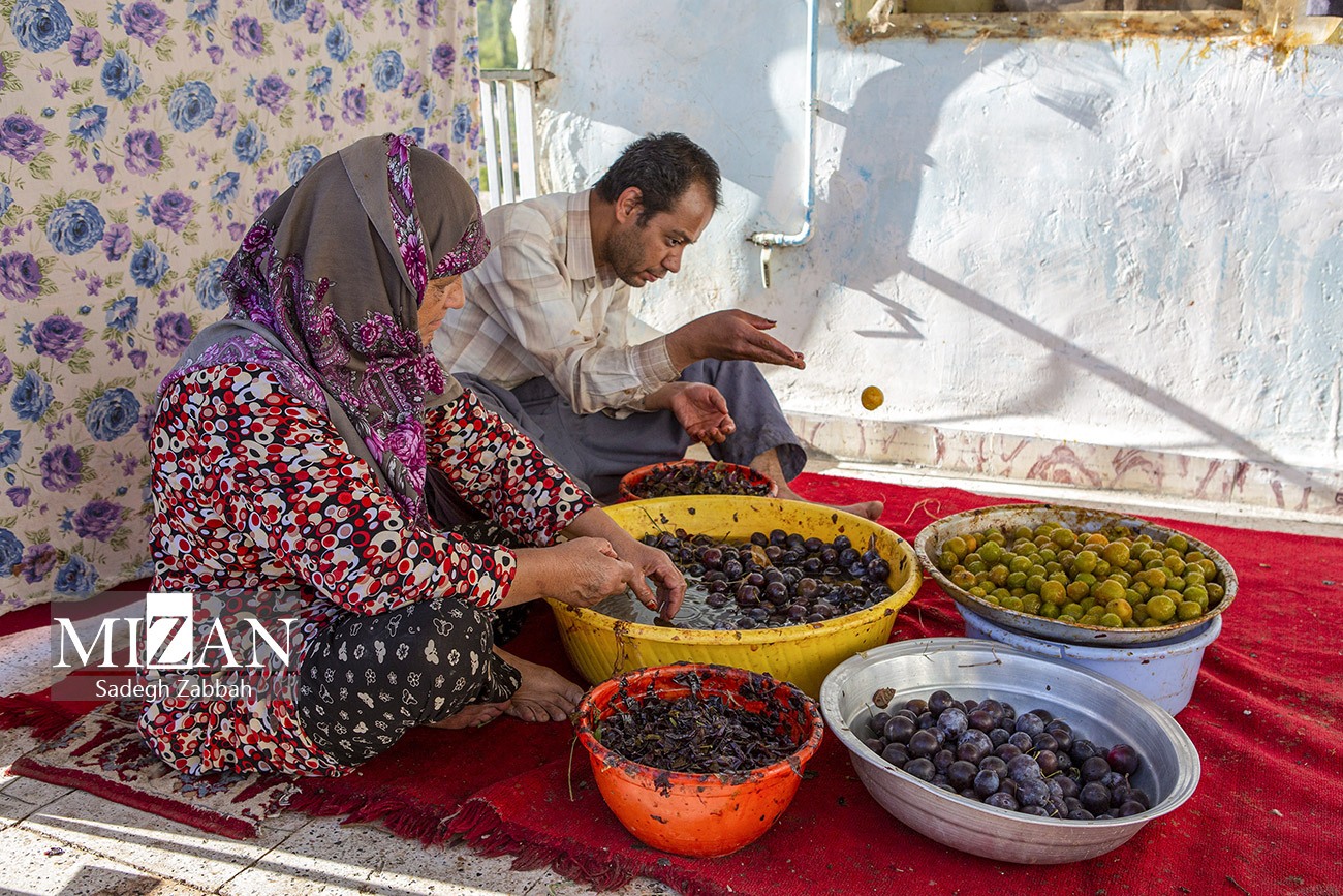 عکس/ خور پایتخت آلوی ایران