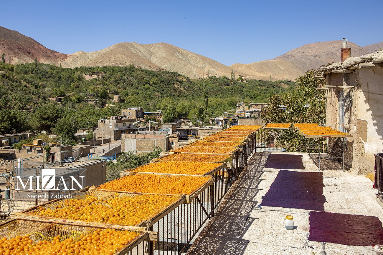 عکس/ خور پایتخت آلوی ایران