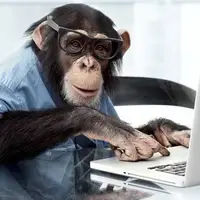 علاقه یک میمون به کامپیوتر را ببینید