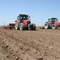 کشت ۵۴ هزار هکتار گندم در چهارمحال و بختیاری