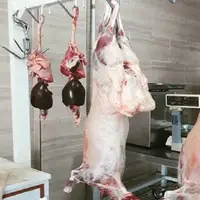ثبت‌نام طرح تولید قراردادی گوشت قرمز در استان مرکزی