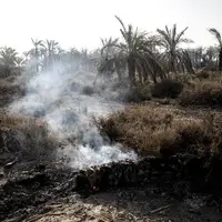 آتش‌سوزی نخلستان در سراوان، خسارت ۳۷ میلیارد ریالی برجا گذاشت