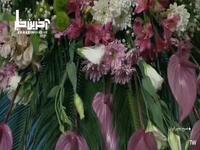 ترانه‌ای زیبا با صدای محمد مهدی ساوه