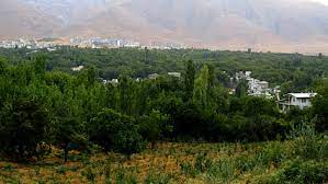 عکس/ پاییز تماشایی در کوچه‌های خوانسار