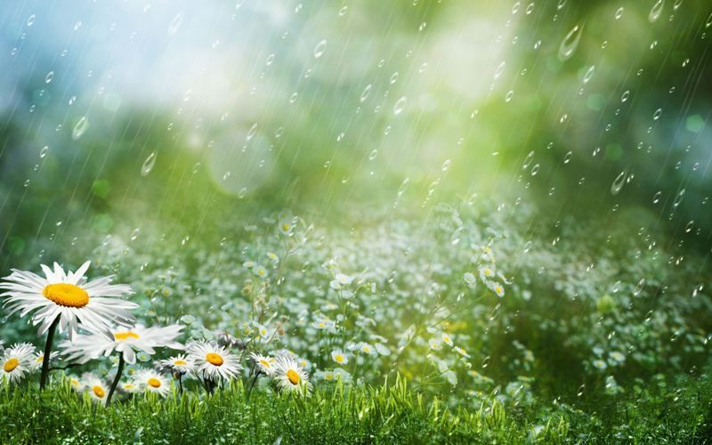 بارش‌ها کدام مناطق استان زنجان را فرا می‌گیرد؟