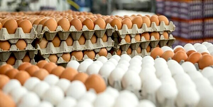 روزانه چند تن تخم‌مرغ در چهارمحال و بختیاری مصرف می‌شود؟