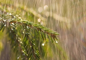 پیشبینی بارشهای پراکنده در غرب خراسان رضوی