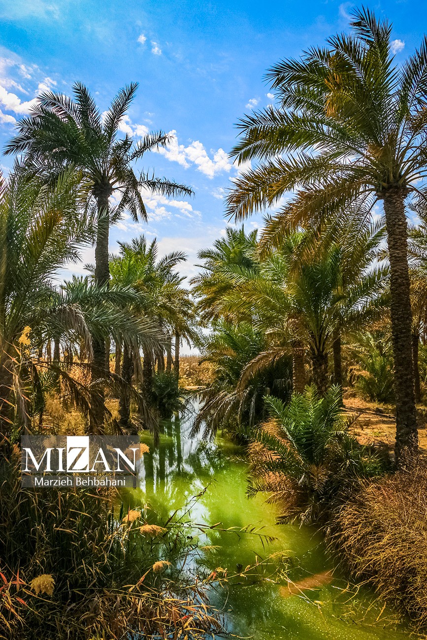 عکس/ تصاویری زیبا از دیدنی های آبادان