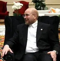 جزئیات دیدار روسای مجالس ایران و مصر در ژوهانسبورگ