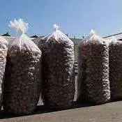 کشف ۴ تن گردوی قاچاق در مبارکه