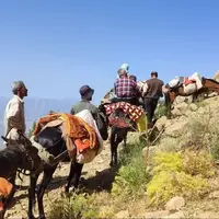 کوچ عشایر قزوین تا نیمه مهرماه ادامه دارد