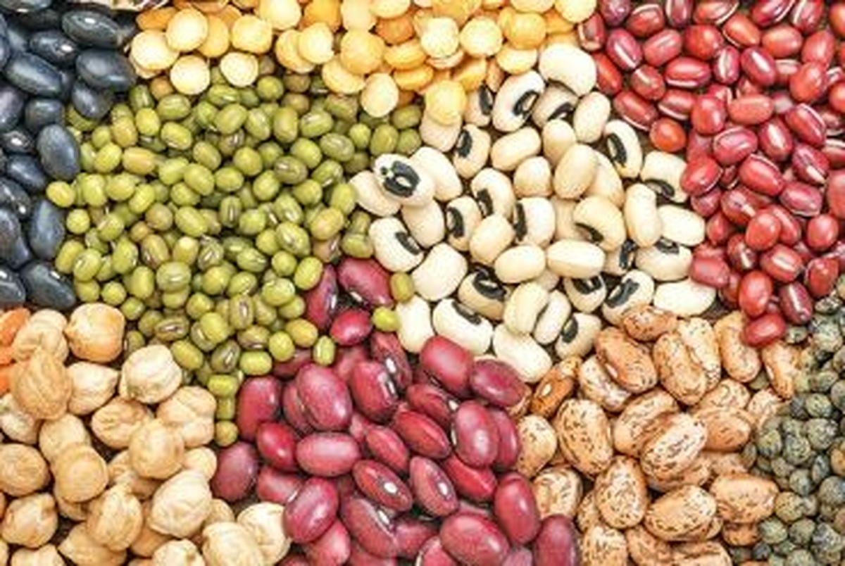 افزایش ۱۲ درصدی تولید حبوبات در چهارمحال و بختیاری