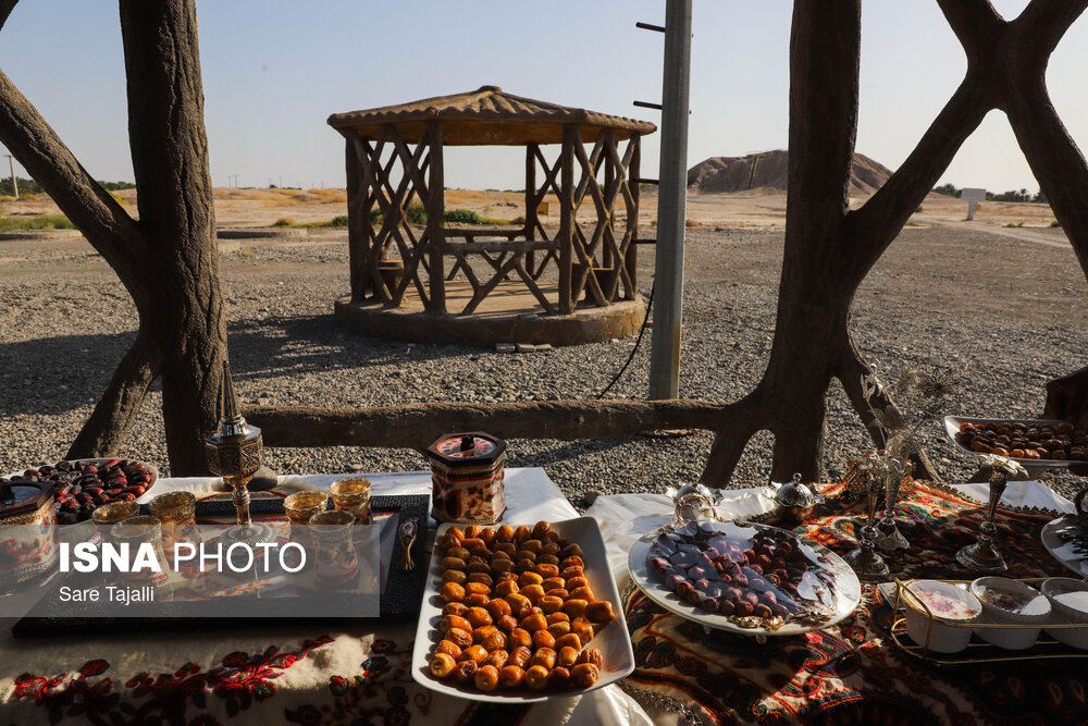 عکس/ سفر ضرغامی به جیرفت