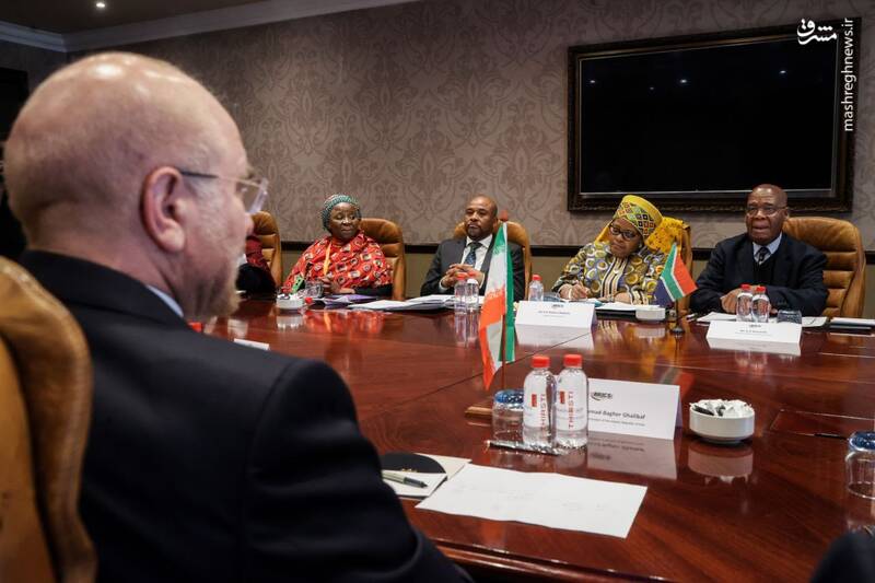 دیدار رییس مجلس با رؤسای مجالس آفریقای جنوبی