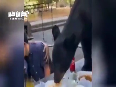 آرامش یک مادر در مواجهه با یک خرس سیاه!