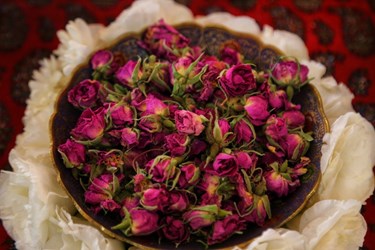 مسابقه آشپزی و شیرینی‌پزی سنتی در استان البرز
