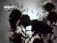 روزهایی که مدارس هفته‌ای ۲ یا ۳ روز بیشتر باز نبودند!