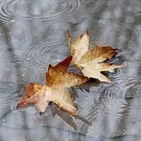 باران پاییزی در راه همدان