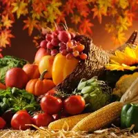 پرهیزات غذایی در فصل پاییز از نگاه طب سنتی